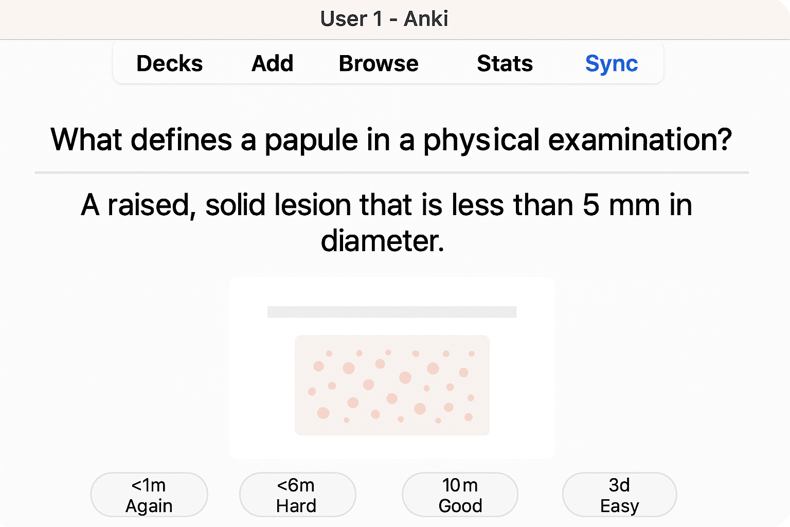 Anki interface